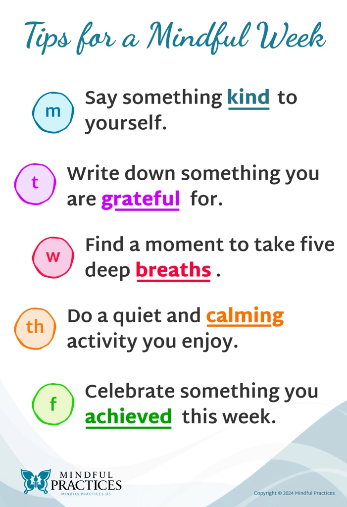 Mindful Practices and Class Catalyst project example 7