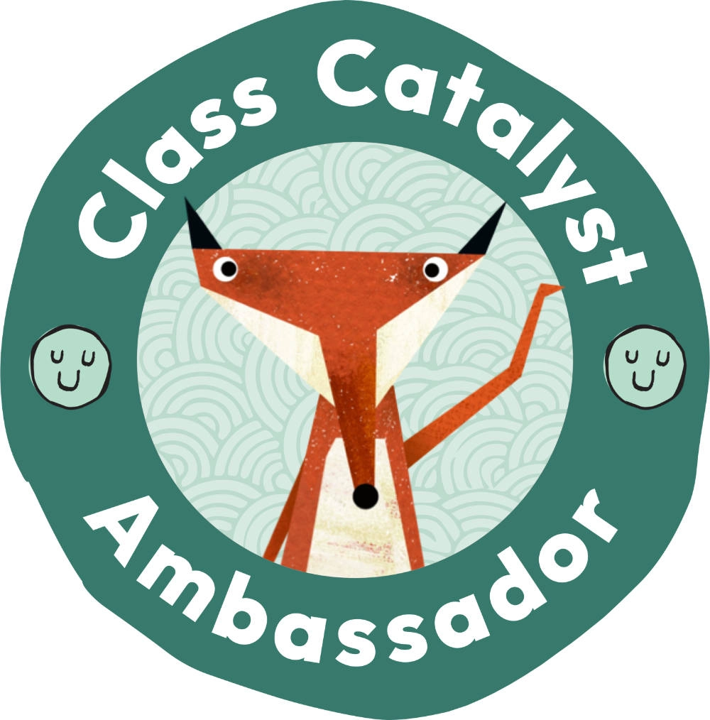 Mindful Practices and Class Catalyst project example 33