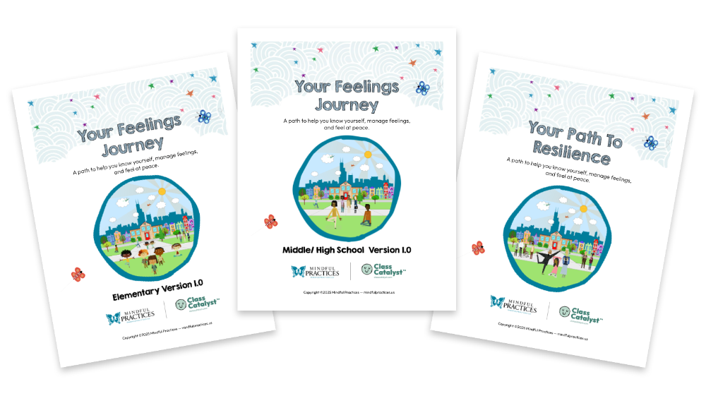 Mindful Practices Workbooks